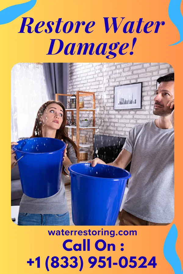 water restoration Elite Sewage Cleanup Crew Cedar Heights