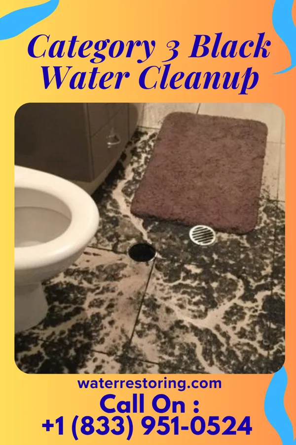 Category 3 Black Water Cleanup in Cedar Heights, MD