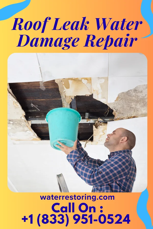 Roof Leak Water Damage Repair in Cedar Heights, MD