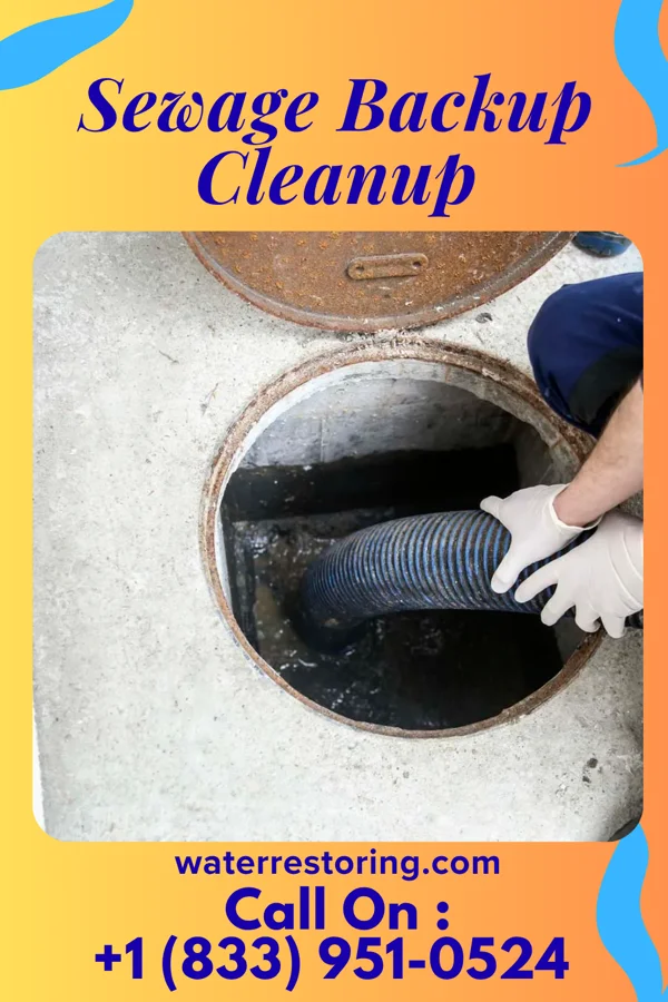 Sewage Backup Cleanup in Cedar Heights, MD